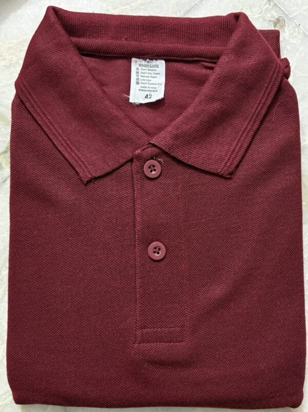 WhatsApp Image 2026-07-18 at 9.54.43 PM Honeycom Matty Polo Neck T-Shirt (180–190 GSM)