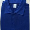WhatsApp Image 2026-07-18 at 9.54.44 PM (1) Honeycom Matty Polo Neck T-Shirt (180–190 GSM)