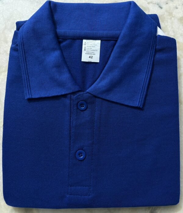 WhatsApp Image 2026-07-18 at 9.54.44 PM (1) Honeycom Matty Polo Neck T-Shirt (180–190 GSM)