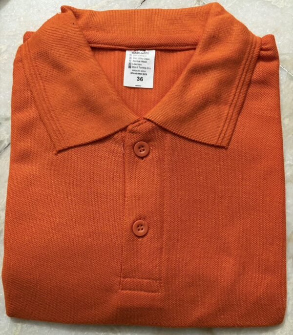 WhatsApp Image 2026-07-18 at 9.54.47 PM Honeycom Matty Polo Neck T-Shirt (180–190 GSM)